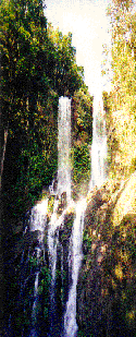 www.travelpuertogalera.com
Tamaraw Waterfalls
(Courtesy of Ms. Lolita Bernardino)