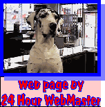 Get your own web page for only $19.95 per month!  The Puppies Parents
