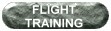 Flight Training