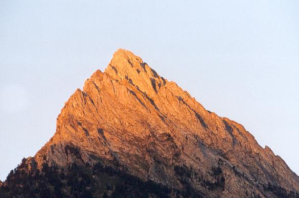 AmanEncaG.jpg (38305 bytes)