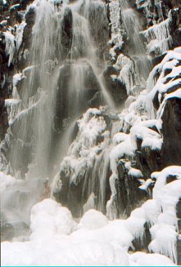 CascadaG.jpg (26636 bytes)