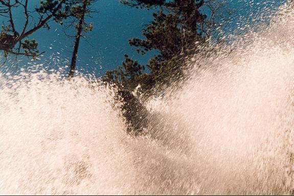 FuerzaG.jpg (51616 bytes)