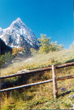 LindretG.jpg (32087 bytes)