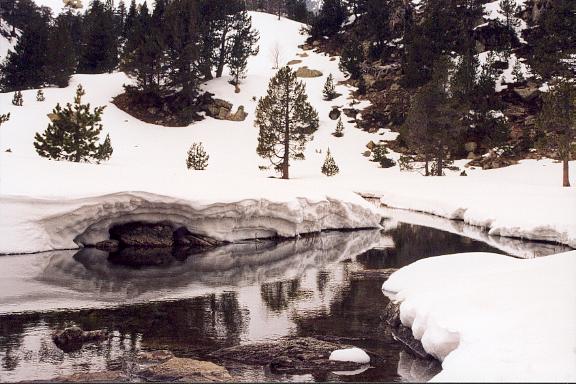 reflejosG.jpg (58317 bytes)