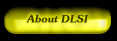dlsi_buts_1.gif (3341 bytes)