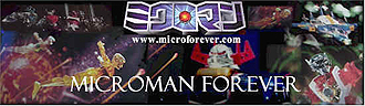 Microforever.com