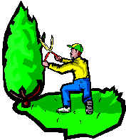 IN00322_.WMF (22894 bytes)