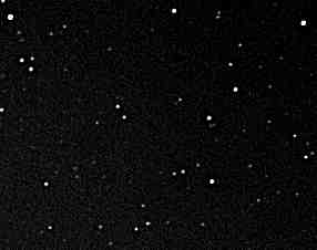 plu50626.jpg (3641 bytes)