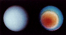 uranusdual.gif (6080 bytes)