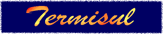 Termisul