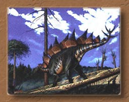 steg.jpg (14617 bytes)