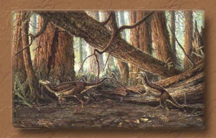 vala.jpg (19419 bytes)