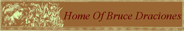 Home Of Bruce Draciones