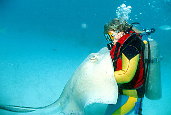 karenweb.jpg (56385 bytes)