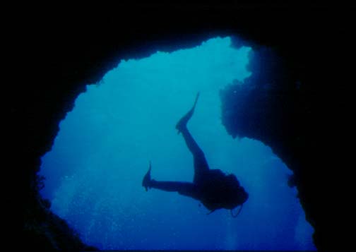 mark.jpg (10767 bytes)