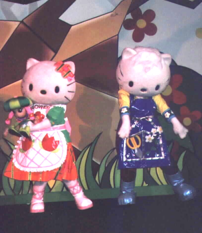 K_pic1.jpg (65206 bytes)