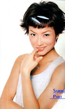 sam3.jpg (14579 bytes)