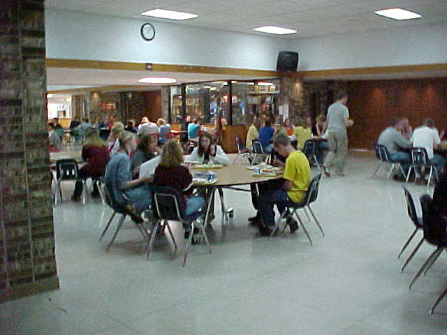 lunch.JPG (72586 bytes)