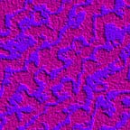 trippin.jpg (8463 bytes)