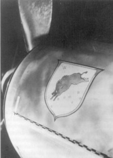 Wilde Sau symbol on a FW 190 nose