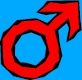male.jpg (8102 bytes)