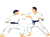 jojudo.gif (3566 bytes)