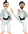 karate1.gif (4691 bytes)