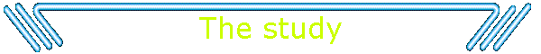 The study