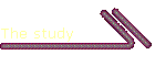 The study