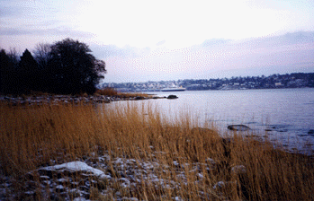 bast�ferga p� morgenen!