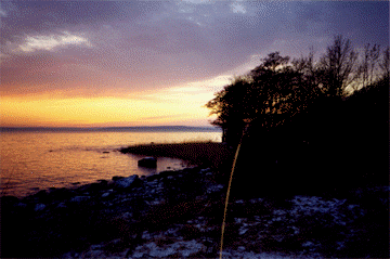 klikk for � f� st�rre!