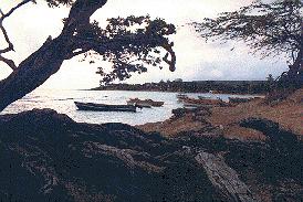 billy's.jpg (15934 bytes)