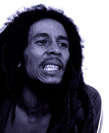 bob3.jpg (12663 bytes)