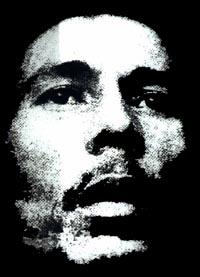 bobface.jpg (11327 bytes)