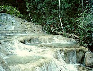 dunnsfalls3.jpg (37999 bytes)