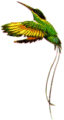jabird.gif (3285 bytes)