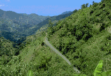 jamount.gif (17889 bytes)