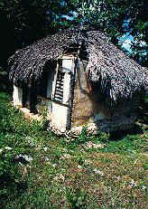 lacovia.jpg (17407 bytes)