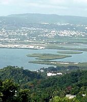 montego.jpg (9391 bytes)