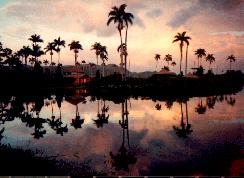 royal.jpg (10527 bytes)