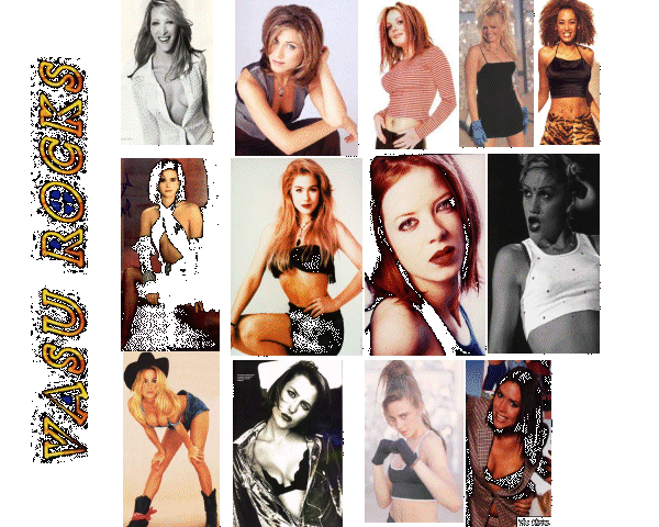 TV.gif (148868 bytes)