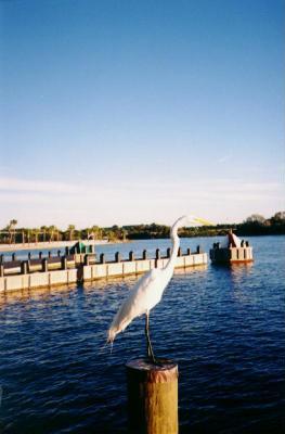 image23.jpg (15433 bytes)