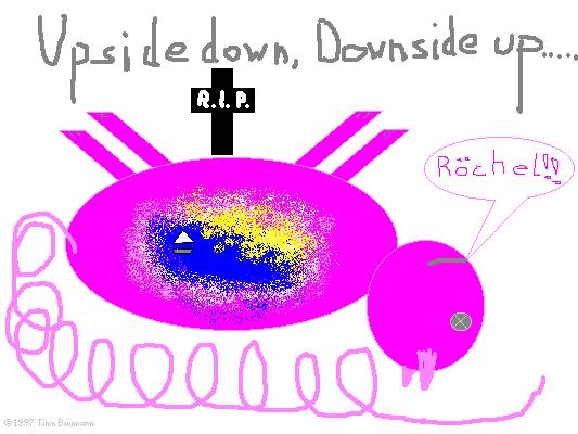 mehrschwein.jpg (38195 bytes)