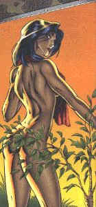 wpe11.jpg (9432 bytes)