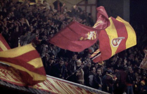 AliSami1.jif (46196 bytes)