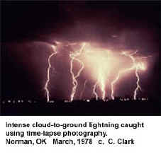 LIGHT.jpg (16753 bytes)