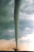 tornfun.jpg (7068 bytes)