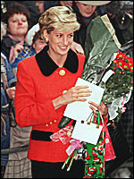 d2.jpg (20241 bytes)