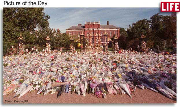 palace.jpg (47320 bytes)