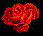 rose1.gif (7663 bytes)